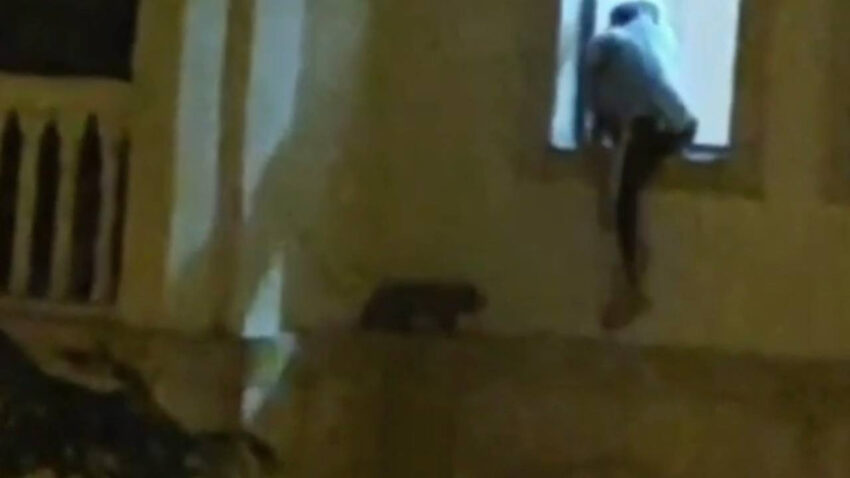 Mardinde yurek isitan anlar mahsur kalan kedi icin seferber oldular TxH5GU5M.jpg
