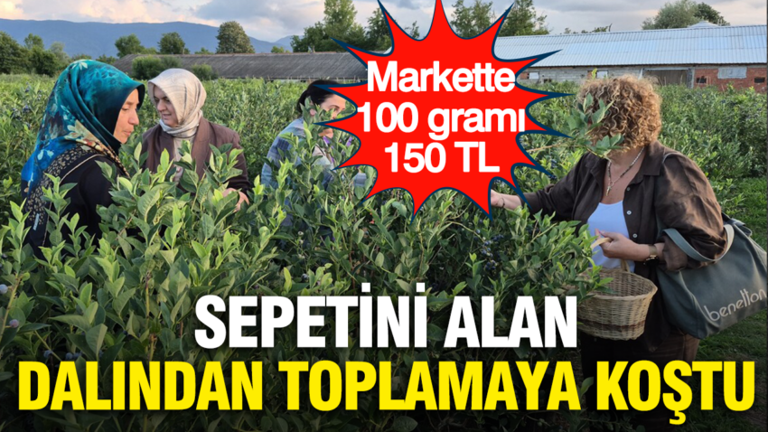 Markette 100 grami 150 tl sepetini alan dalindan toplamaya kostu emxLt7zH.png