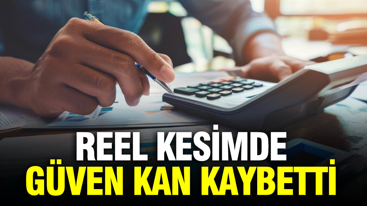 Merkez bankasi acikladi reel kesimde guven kan kaybetti yPdD111C.jpg