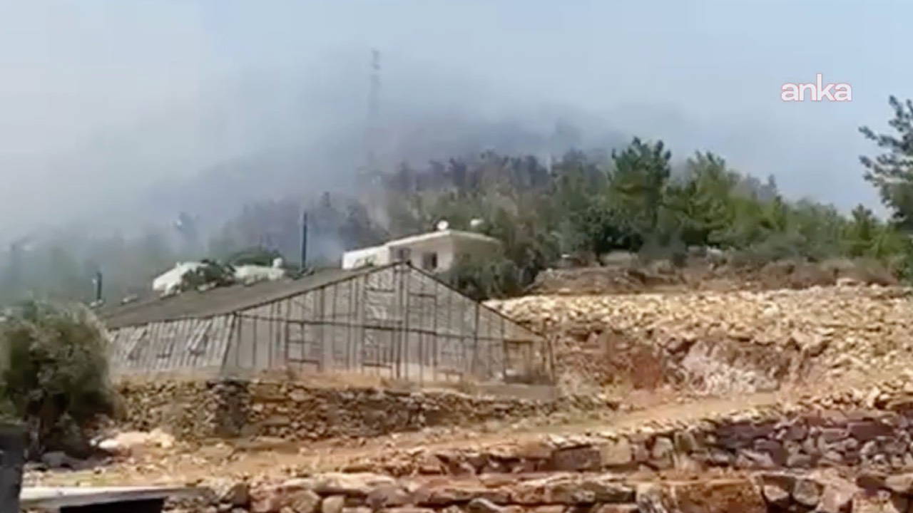 Mersin’de orman yangını: Yerleşim yerlerine yakın bölgede çıktı