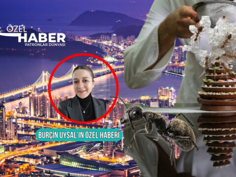 Michelin yildizli restoranda karincali tatli skandalindaki yeni gelismeler pdde 12 bin 274 porsiyon satti PamCj6Sf.jpeg