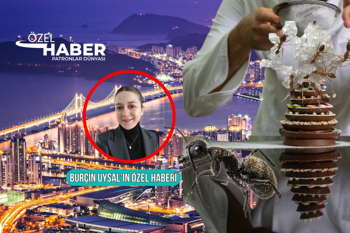 Michelin yıldızlı restoranda ‘karıncalı tatlı’ skandalındaki yeni gelişmeler PD’de; 12 bin 274 porsiyon sattı, milyonluk gelir elde etti
