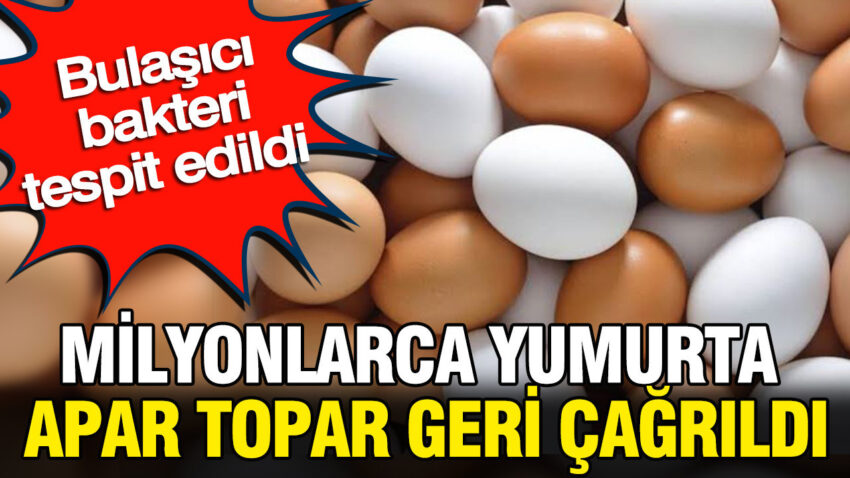 Milyonlarca yumurta apar topar geri cagrildi bulasici bakteri tespit edildi Wx3b6UK7.jpg