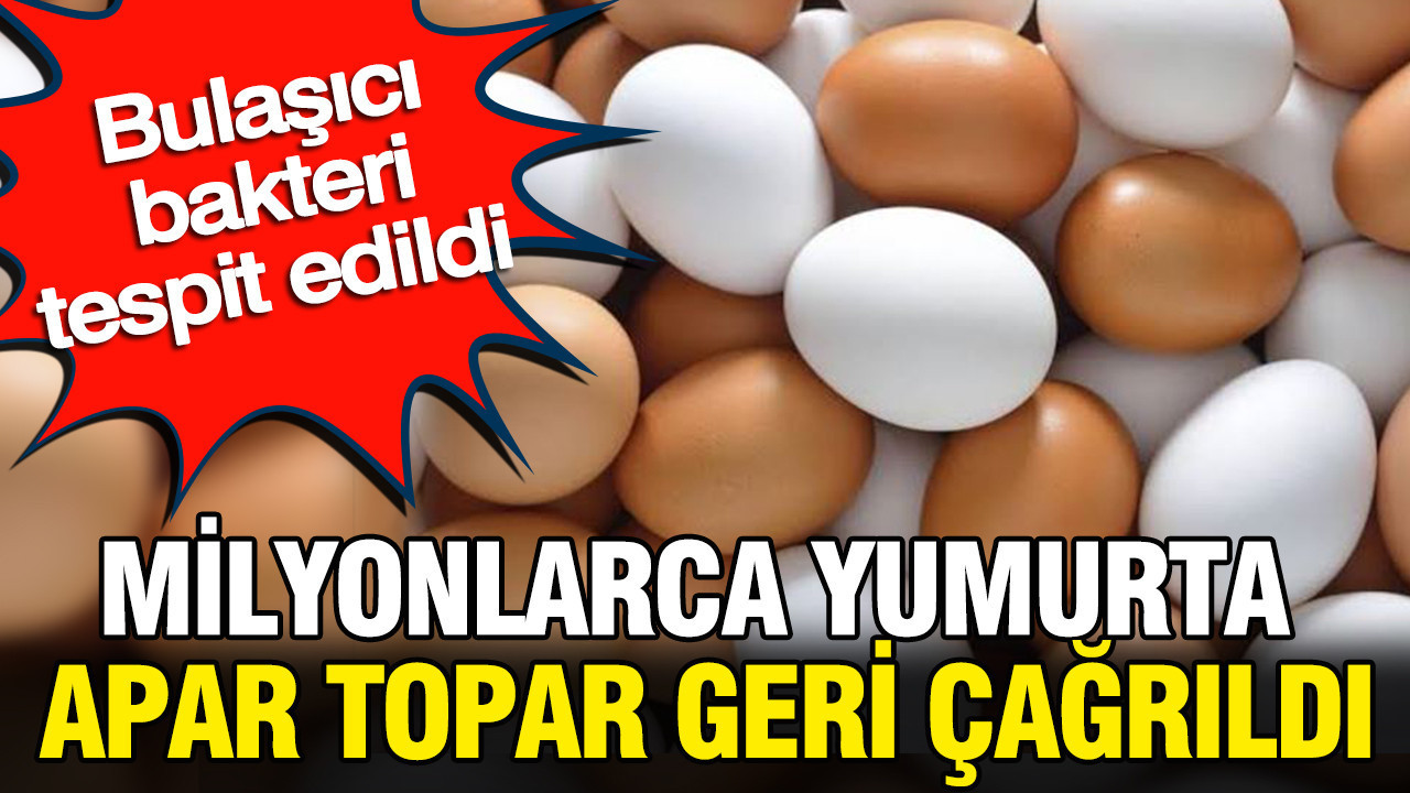 Milyonlarca yumurta apar topar geri çağrıldı: Bulaşıcı bakteri tespit edildi