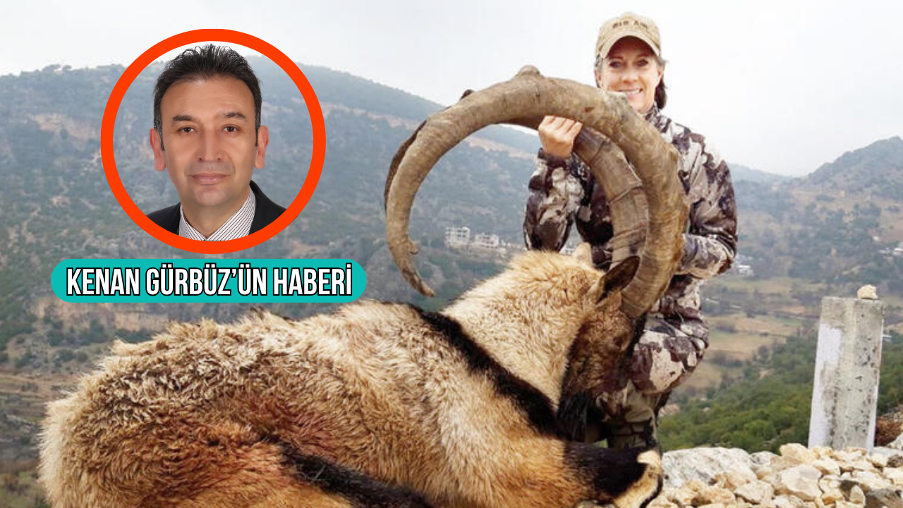 Muğla’da 2026-2027 av turizmi sezonu kapsamında yaban keçisi avlamak isteyenler, 750 bin ile 1,5 milyon lira arasında para ödeyecek