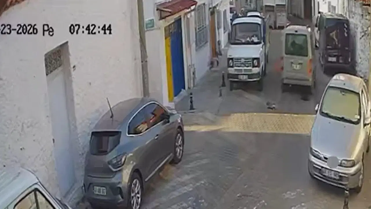 Muğla’da korkunç görüntüler… İki sokak kedisini ezdi, arkasına bile bakmadan uzaklaştı