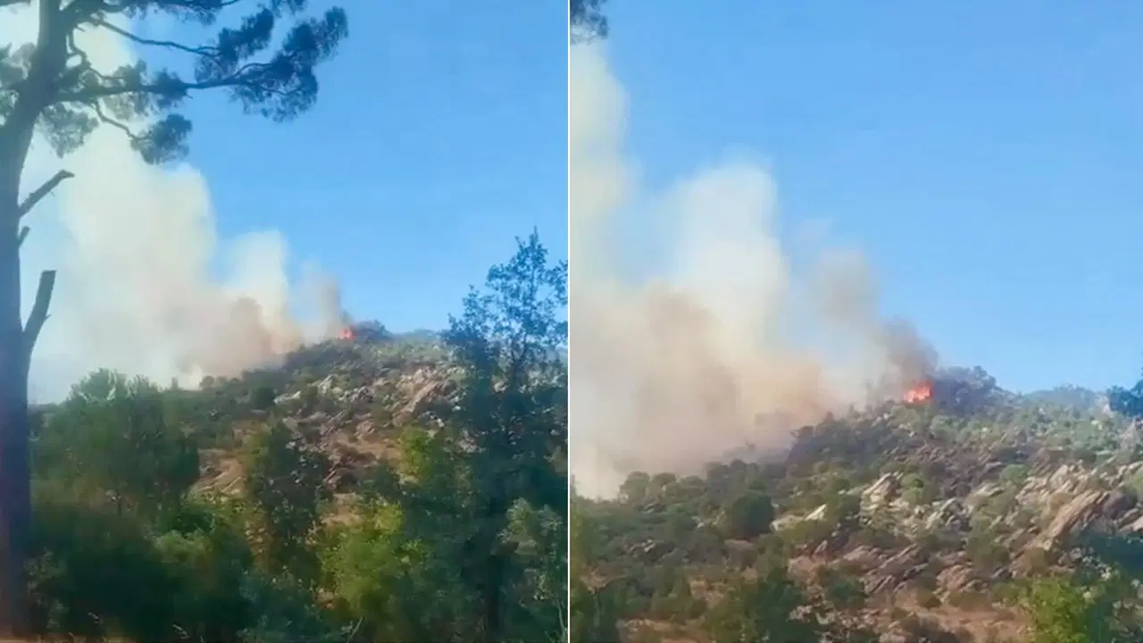 Muğla’da orman yangını: Ekipler müdahale ediyor