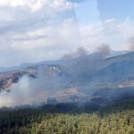 Muglada tarim arazisinde baslayan yagin ormana sicradi Jf6zEhax.jpg