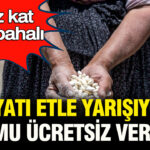 Normal fasulyeden sekiz kat daha pahali fiyati etle yarisiyor tohumu ucretsiz dagitiliyor UY6EPGtI.jpg