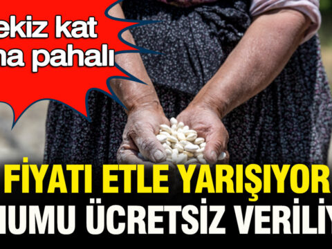 Normal fasulyeden sekiz kat daha pahali fiyati etle yarisiyor tohumu ucretsiz dagitiliyor UY6EPGtI.jpg