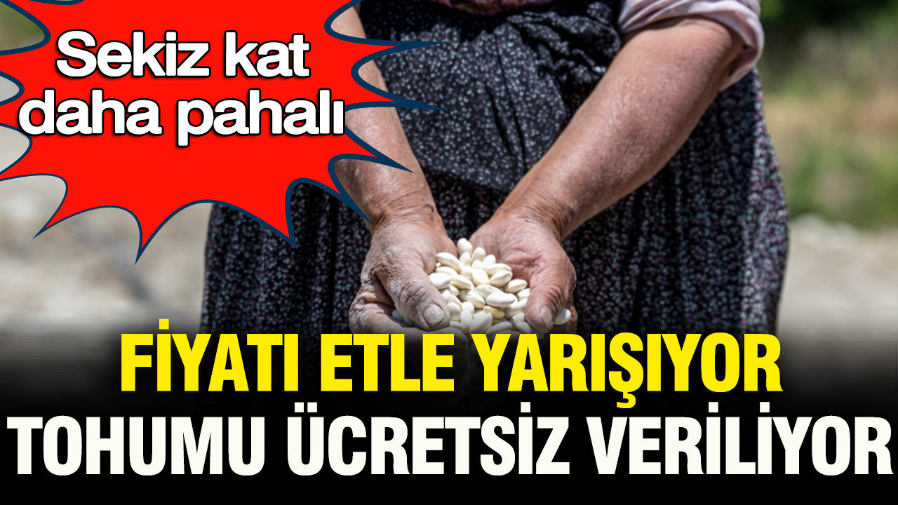 Normal fasulyeden sekiz kat daha pahali fiyati etle yarisiyor tohumu ucretsiz dagitiliyor UY6EPGtI.jpg