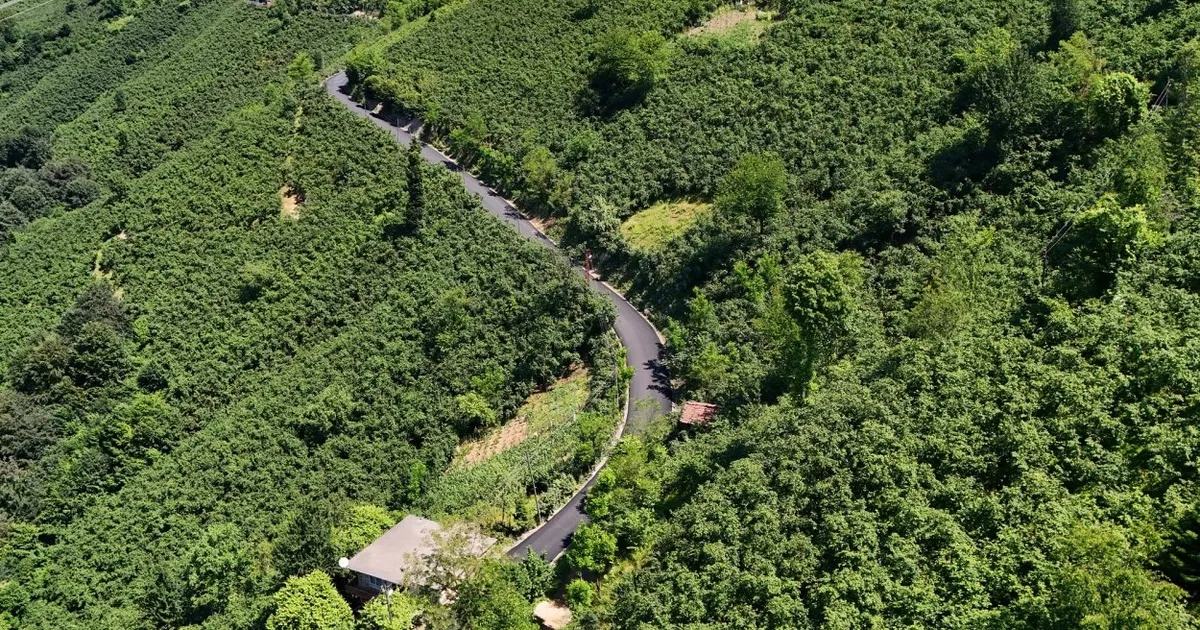 Ordu’da 3,5 kilometrelik asfalt tamamlandı