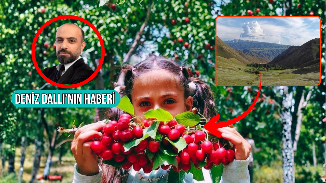 Özbekistan’ın Fergana Vadisi’nde ilk kez, Türkiye’den ihraç edilen şeftali, kiraz, kayısı ve eriğin hasadı yapıldı