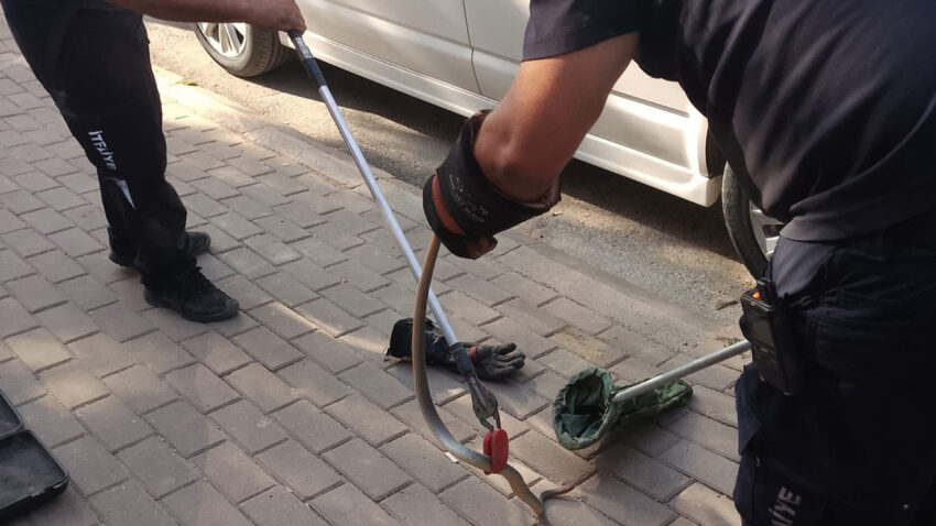 Park halindeki minibuste korkutan anlar motor kismindan cikan sey gorenleri sasirtti 4WLA8WNZ.jpg