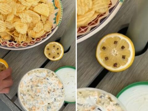 Piknik bahce balkon fark etmiyor yemeklerin uzerine kor sinek gelmesin keskin karanfil cViAuEpA.jpg
