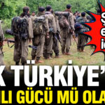 Pkk turkiyenin silahli gucu mu olacak soke eden iddia pzmsn3dN.jpg