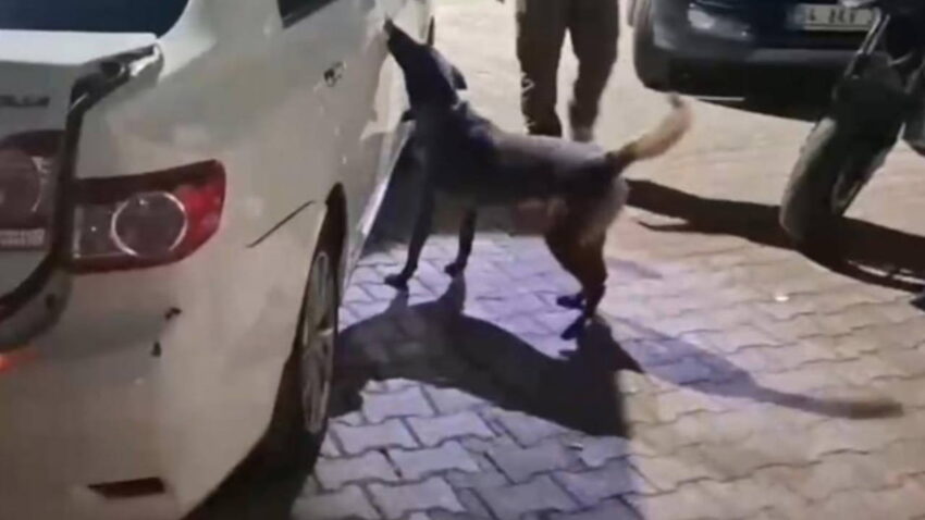 Sakaryada uyusturucu cetesine operasyon 2 tutuklama qyFtTtOk.jpg