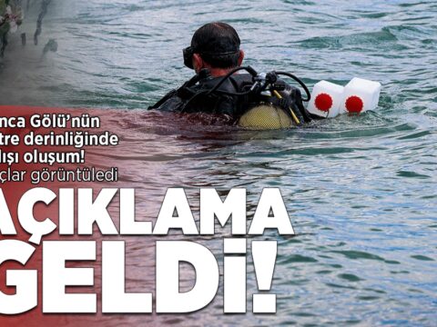 Sapanca golunun 2 metre derinliginde sira disi olusum aciklama geldi DuD7cbnN.jpg