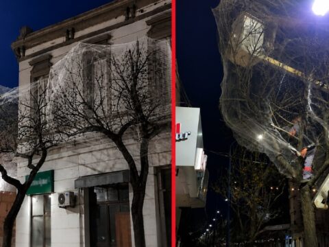 Sehir merkezindeki agaclari tek tek aglarla kapladilar z57gMItl.jpg