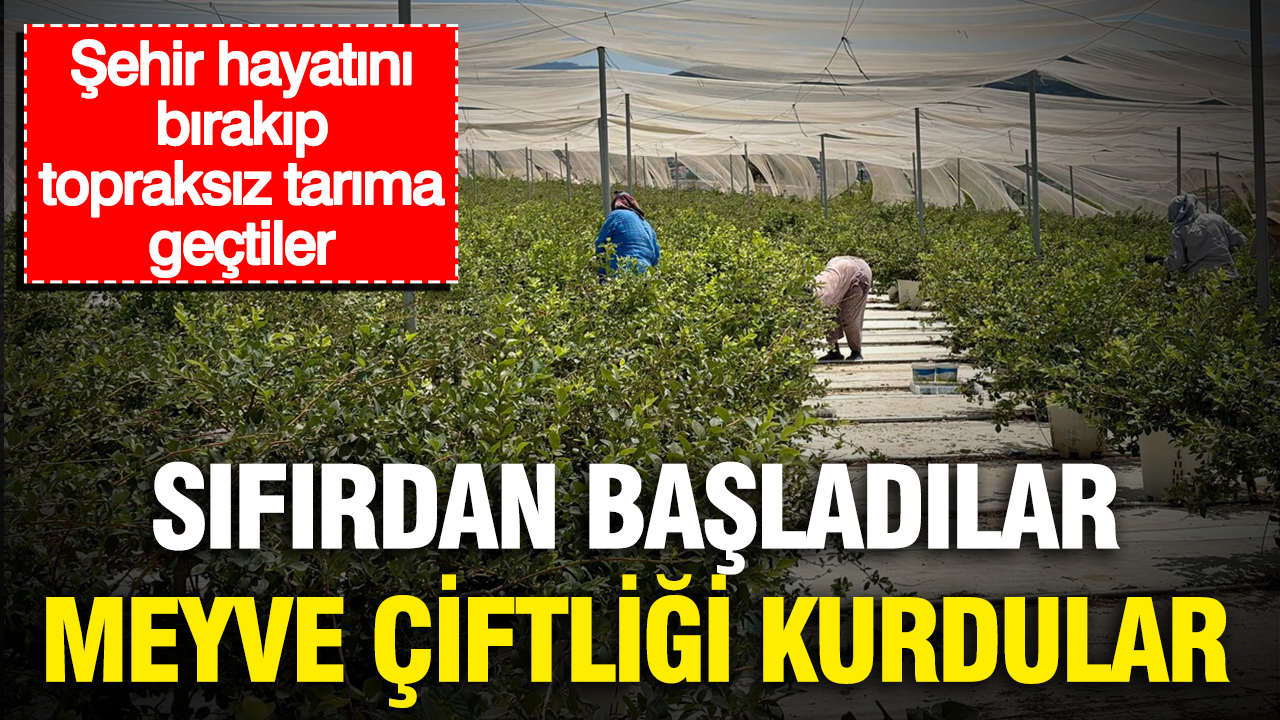 Sıfırdan başladılar, meyve çiftliği kurdular: Şehir hayatını bırakıp topraksız tarıma geçtiler