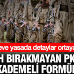 Silah birakmayan pkkya kademeli formul cerceve yasada detaylar ortaya cikti z9mVDXbk.jpg