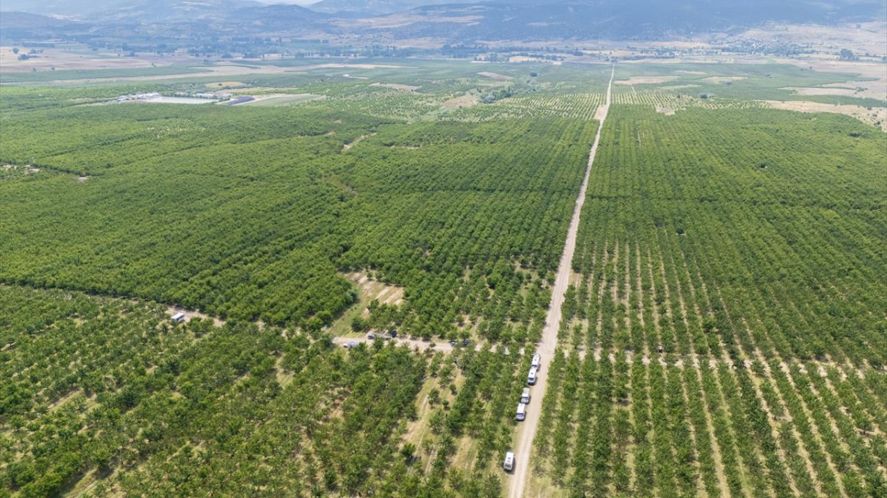 “Sınırları kaldıralım” dediler, servete kondular: Bir köyün kaderini değiştiren karar!