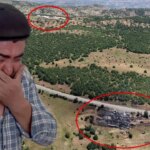 Sivasta duman faciasi iddiasi 5 gunde 9 buzagisi olen besici gozyaslariyla yardim istedi jb4QBtLI.jpg