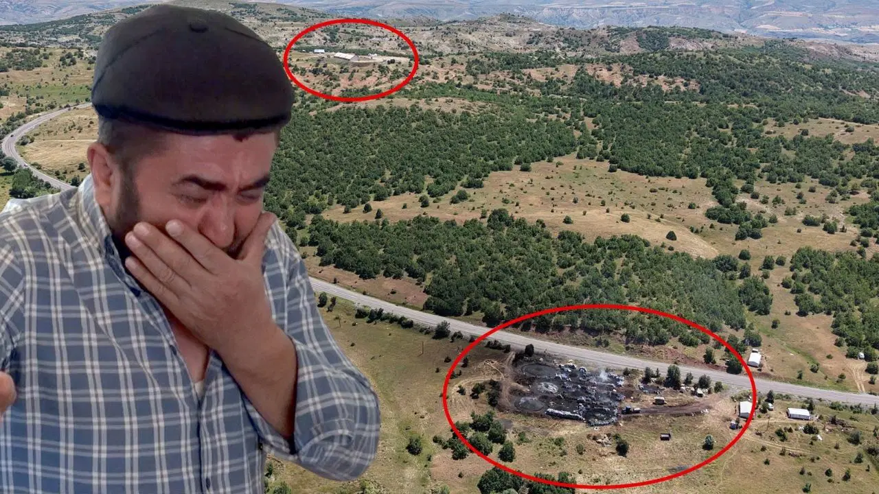 Sivas’ta duman faciası iddiası: 5 günde 9 buzağısı ölen besici gözyaşlarıyla yardım istedi