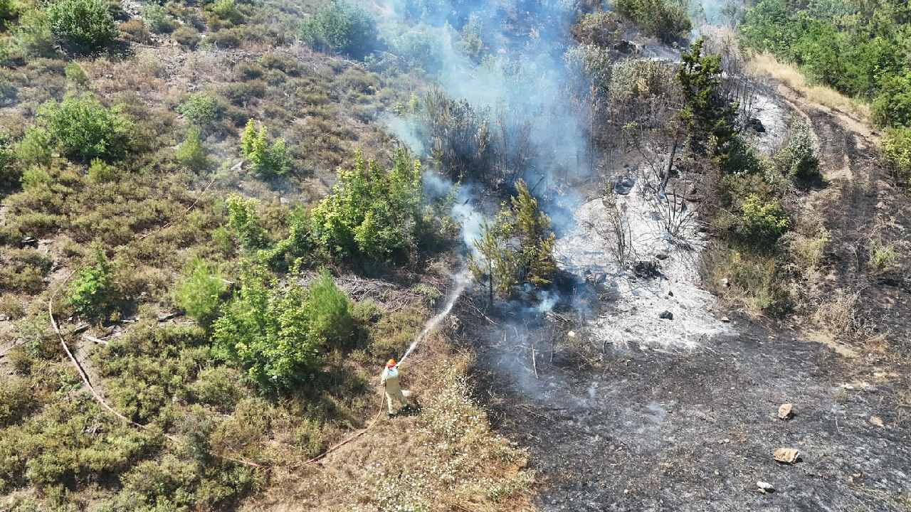 Son dakika | Adana’da orman yangını kabusu! Ekipler seferber oldu