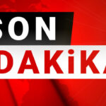 Son dakika akademisyen emel memisin de aralarinda oldugu 7 tema gonullusune tahliye karari sPr5vPum.jpg
