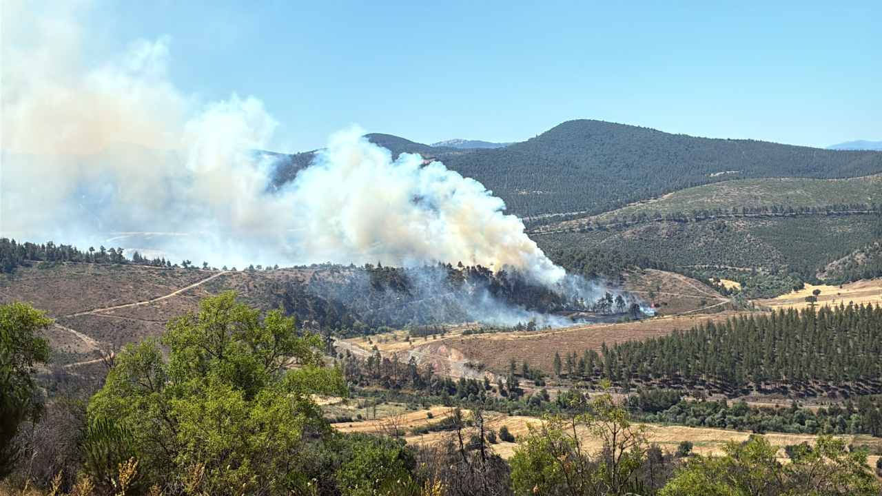 Son dakika bursada orman yangini ruzgar alevleri buyuttu BpkZ3cJY.jpg