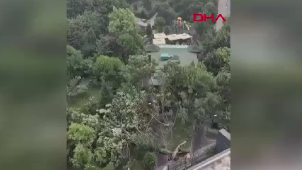 Son Dakika | İstanbul’da şiddetli fırtına: Ağaçlar devrildi