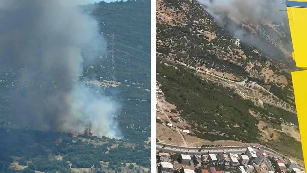 Son dakika | İzmir’de orman yangını! Yerleşim yerlerine çok yakın
