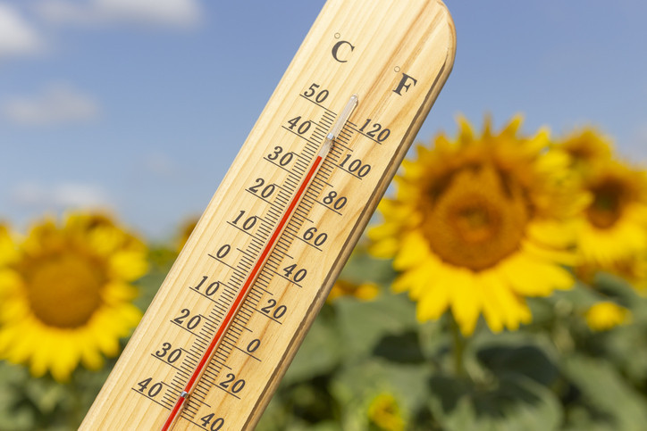 SON DAKİKA METEOROLOJİ HAVA DURUMU RAPORU 19 TEMMUZ 2026 || Bugün (Pazar) hava nasıl olacak, yağmur var mı? Sıcaklıklar artıyor!