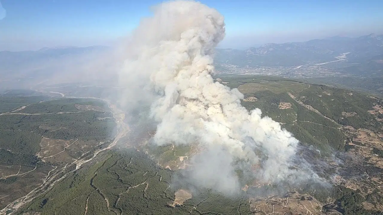 Son dakika… Muğla Seydikemer’de orman yangını başladı: Fethiye-Antalya karayolu trafiğe kapatıldı!
