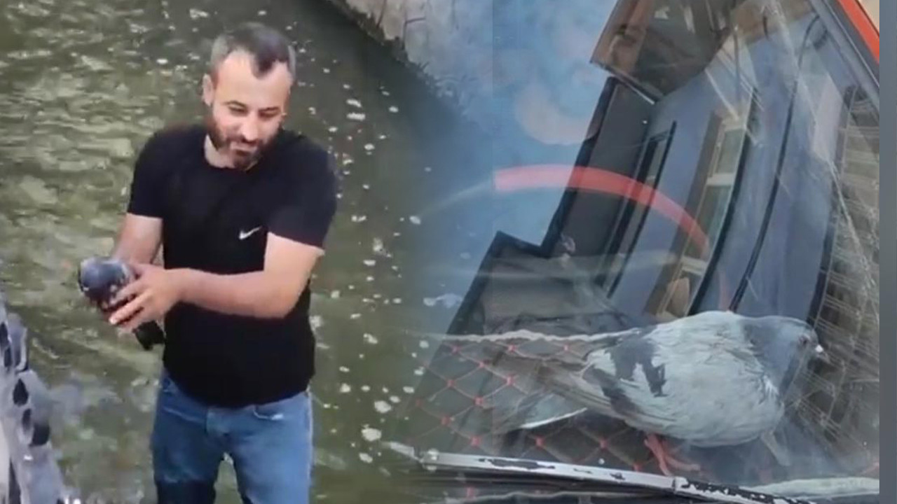 Su kanalından kurtardı, ismini ‘Boncuk’ koydu