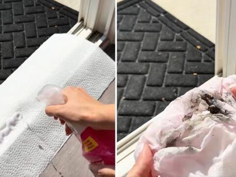 Surgulu kapinin dibinde ne kir birakti ne toz peceteyi arasina yerlestirin 2t8Y1ExD.jpg