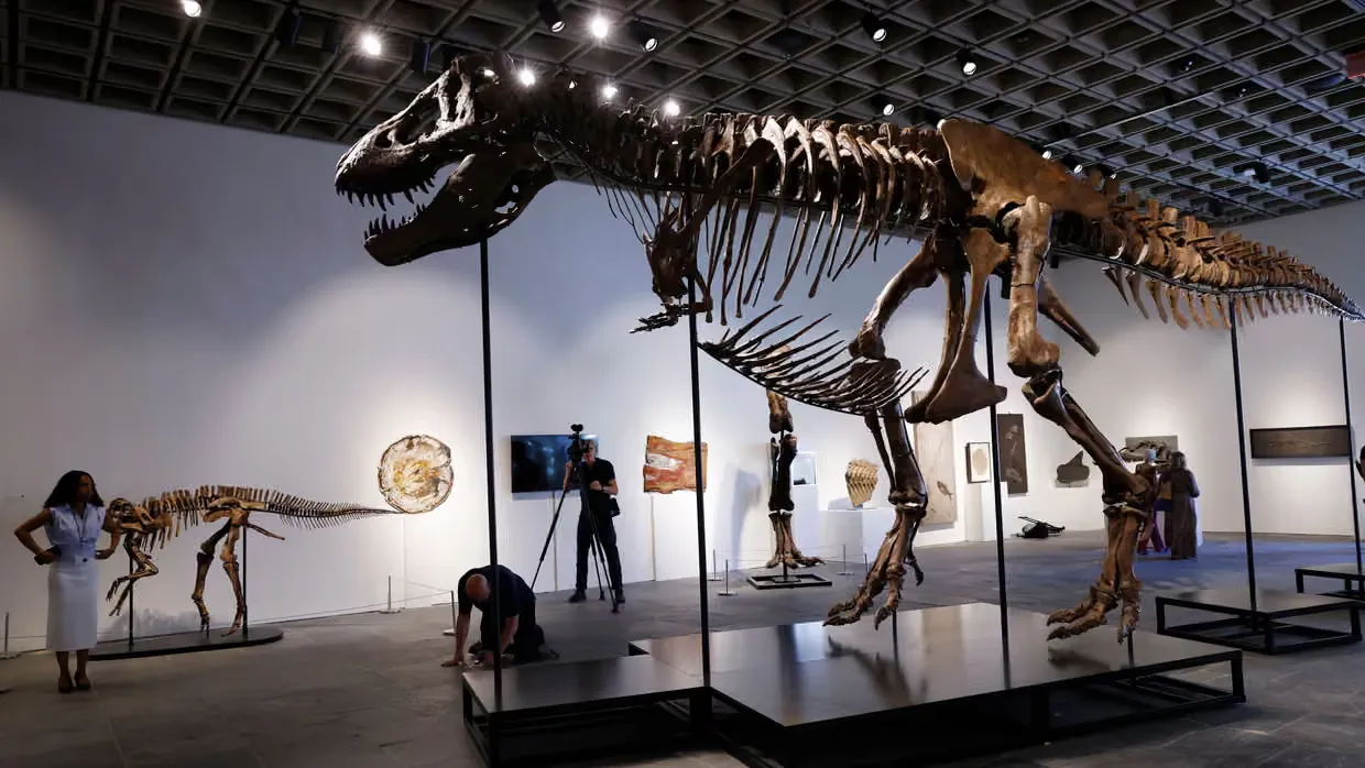 T-Rex iskeleti 50,1 milyon dolara satıldı: Müzayede rekoru kırdı
