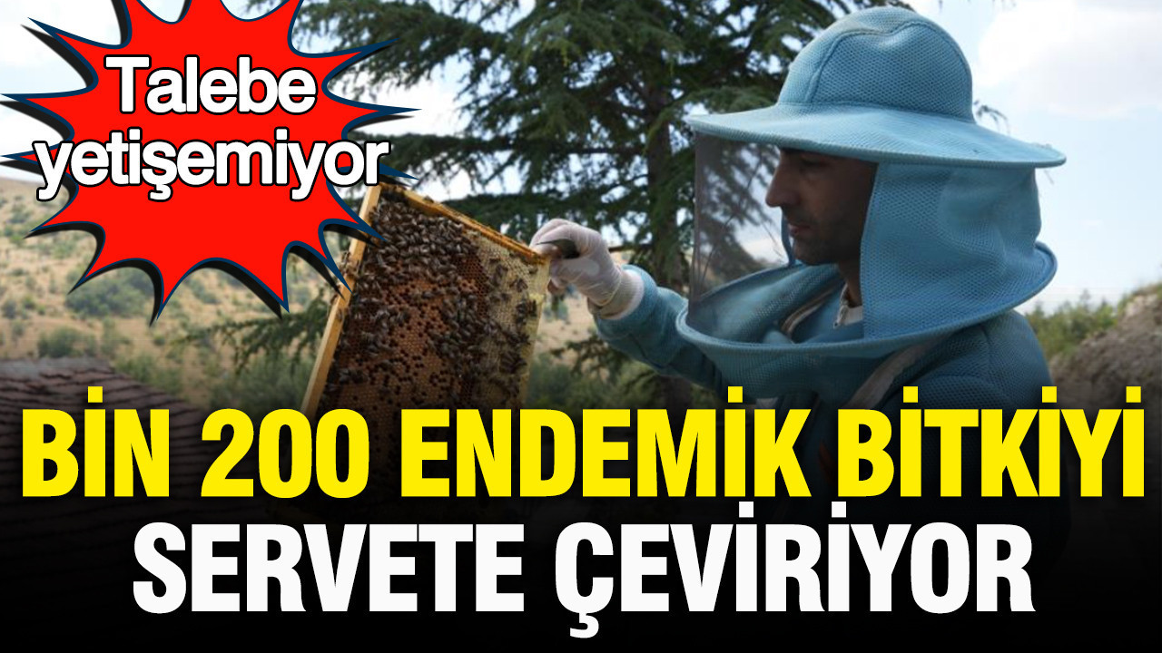 Talebe yetişemiyor: Bin 200 endemik bitkiyle üretilen balı tüm Türkiye’ye satıyor