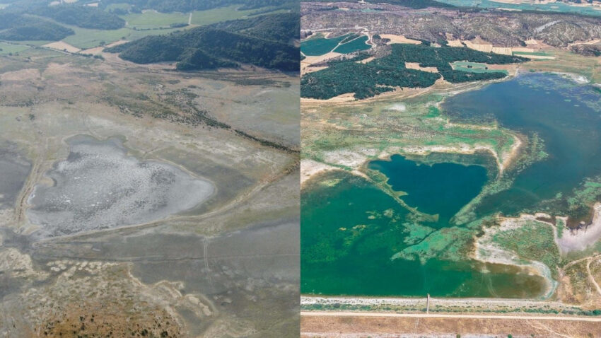 Tamamen kuruyup yok olmustu 137 turun sigindigi dev cennet yeniden canlandi ARUKXAgx.jpg
