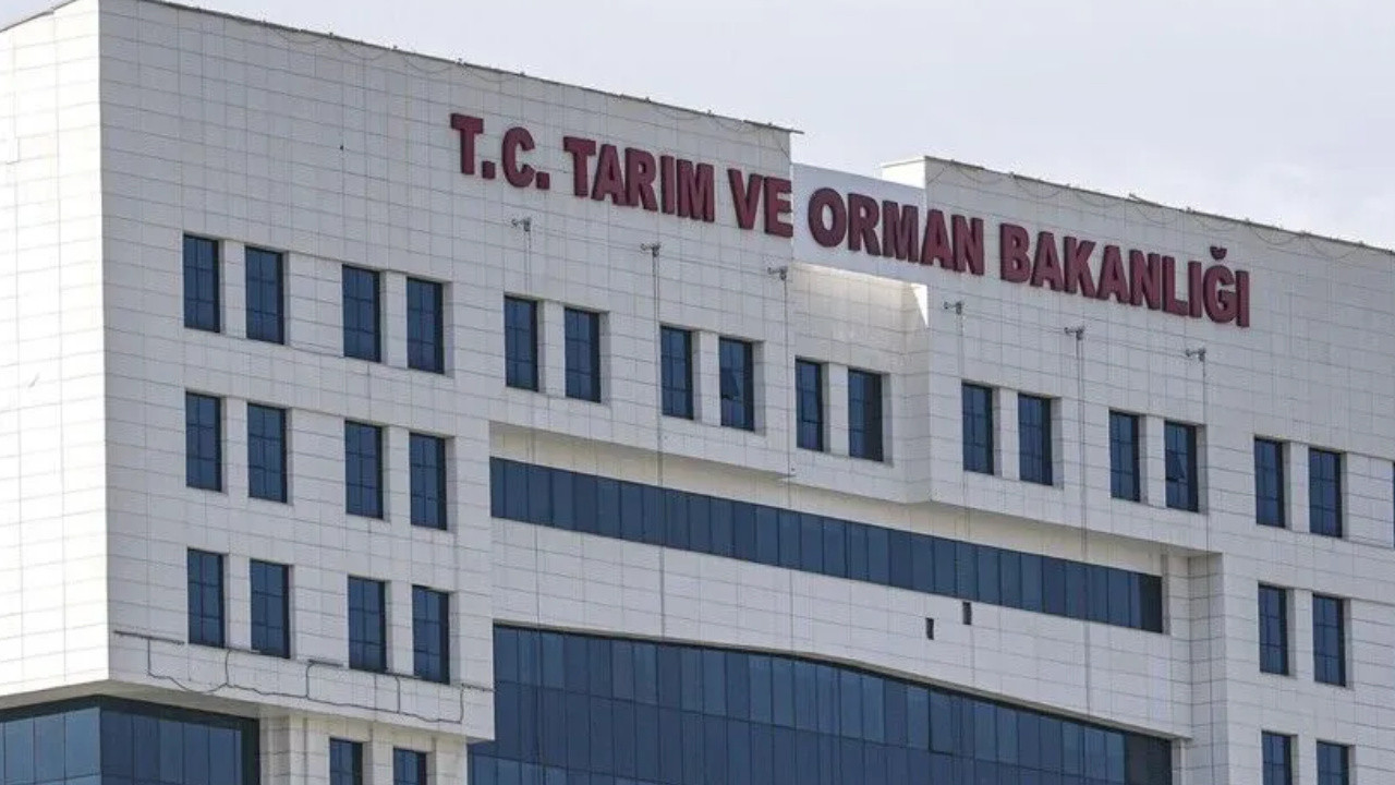 Tarim ve orman bakanligi personel alim ilani yayimlandi mi basvurular ne zaman yapilacak Z6ZedOBr.jpg
