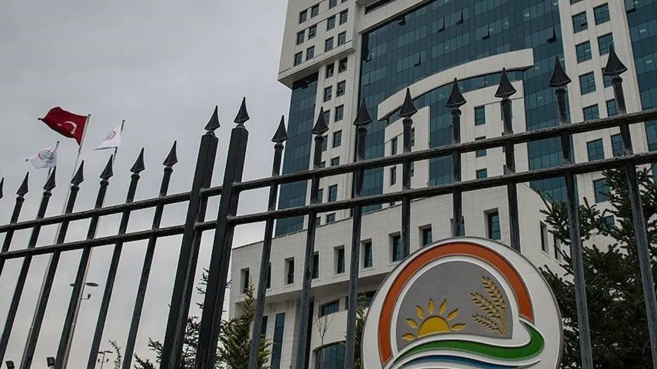 Tarım ve Orman Bakanlığı personel alımı başvuruları ne zaman? Tarım ve Orman Bakanlığı kadro dağılımı ve şartlar