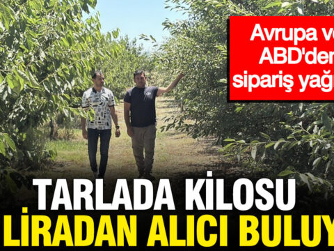 Tarlada kilosu 60 liradan alici buluyor avrupa ve abdden siparis yagiyor CpA7XRCd.jpg