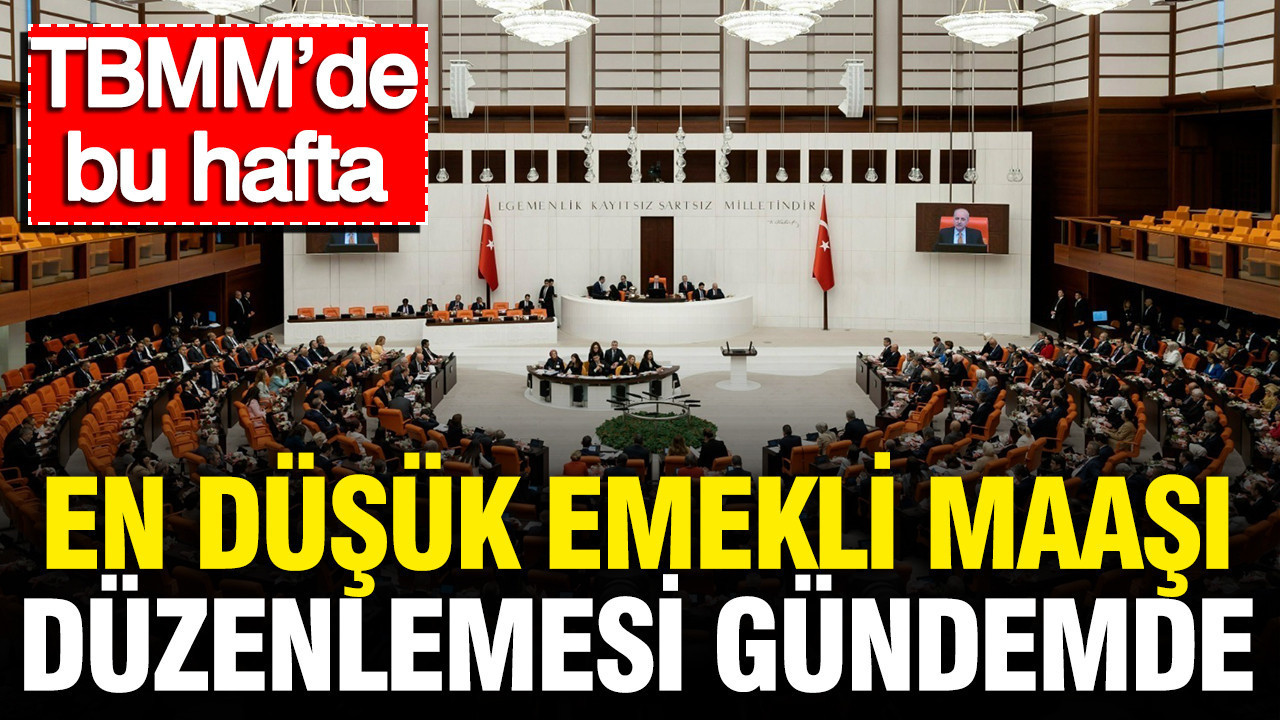 Tbmmde bu hafta en dusuk emekli maasi duzenlemesinin gorusulmesi bekleniyor wUF9ar6E.jpg