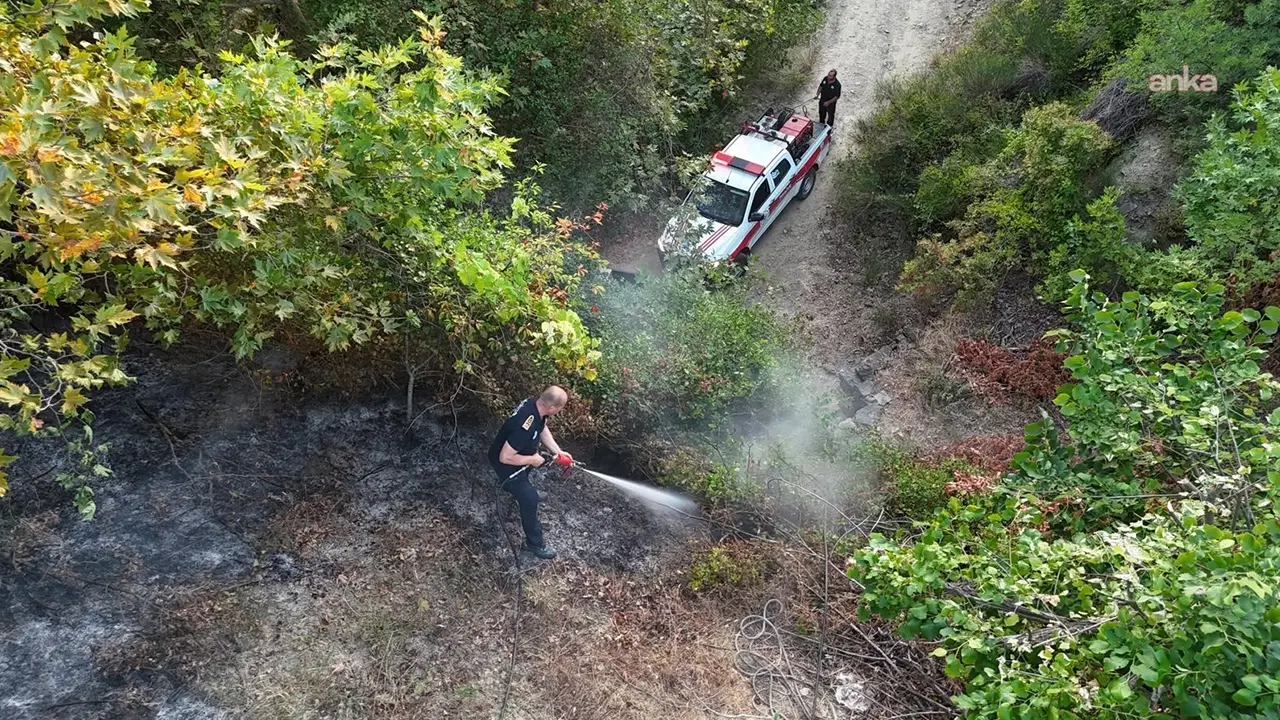 Tekirdağ Malkara’da orman yangını: 3 saatte kontrol altına alındı