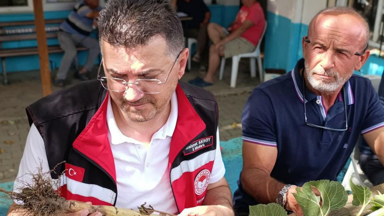 Tekirdağ’da dolu yağışı sonrası tarım arazilerinde hasar tespiti sürüyor