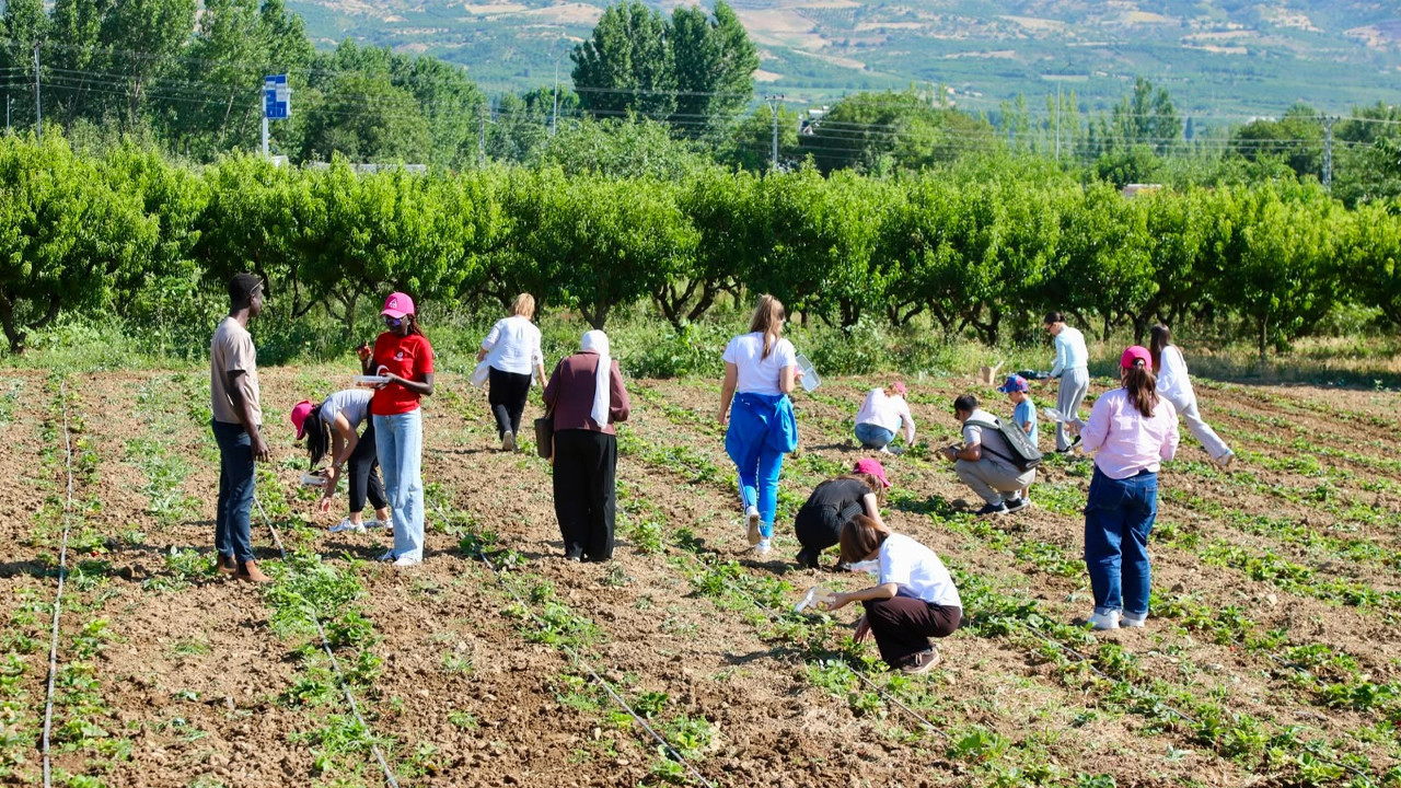 TOGÜ’den dünya gençlerine anadolu kapısı: 15 ülkeden öğrenci Tokat’ta buluştu