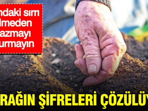 Topragin sifreleri cozuluyor baltayi vurmadan once kararinizi gozden gecirin LqrNpmbK.jpg