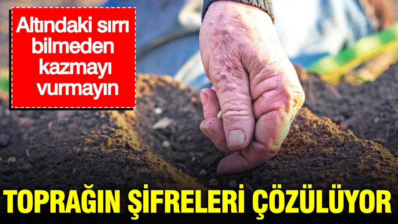 Toprağın şifreleri çözülüyor: Baltayı vurmadan önce kararınızı gözden geçirin