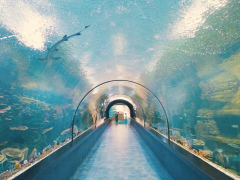 Trabzon tunel akvaryum turistlerin gozde rotasi haline geldi avehMUqf.jpg